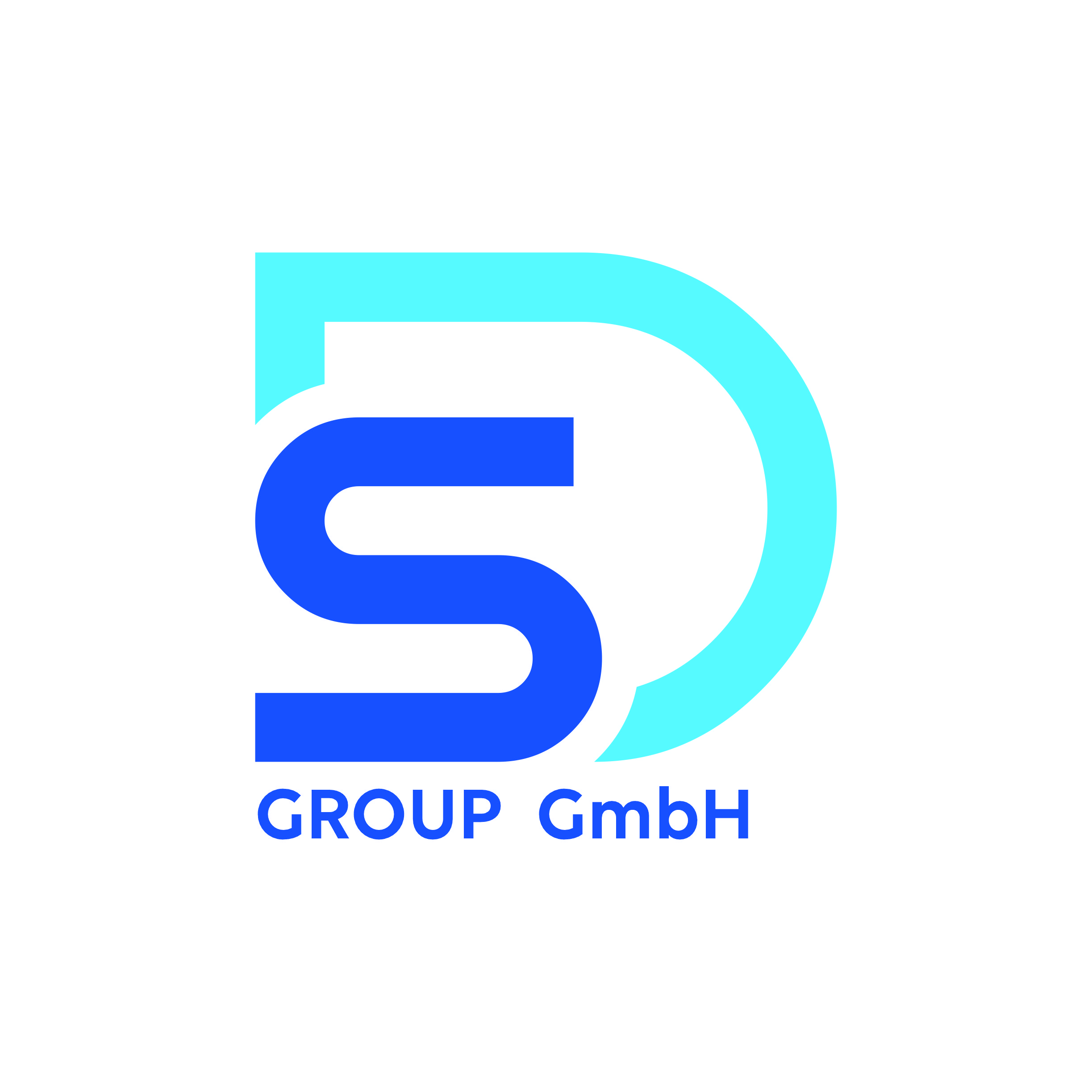 Logo D&S Group GmbH 
